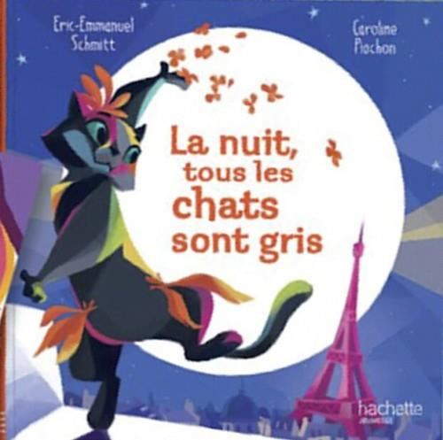 La Nuit, tous les chats sont gris